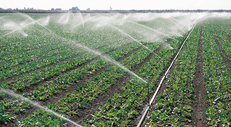 ICCommercialIrrigation4.jpg