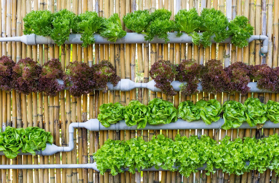 VerticalFarming2.jpeg